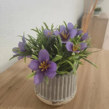 Playa Tanguillos Del Mar Apartament