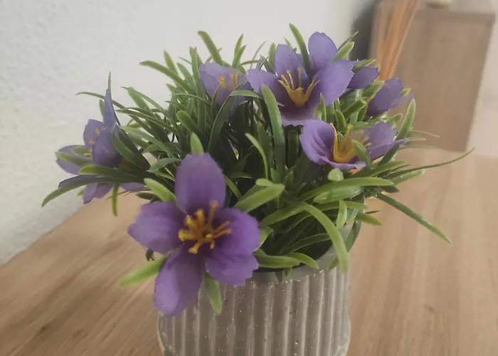 Playa Tanguillos Del Mar Apartament